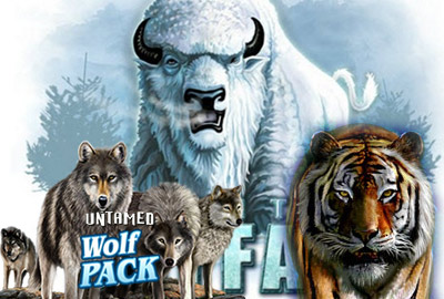 White Buffalo, Untamed Wolf Pack и Untamed Bengal Tiger White Buffalo, Untamed Wolf Pack и Untamed Bengal Tiger