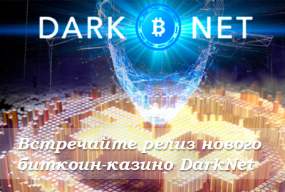 darknet darknet