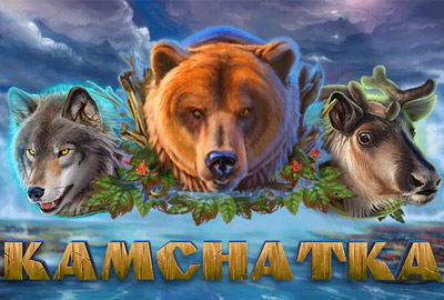 игровой автомат камчатка игровой автомат камчатка