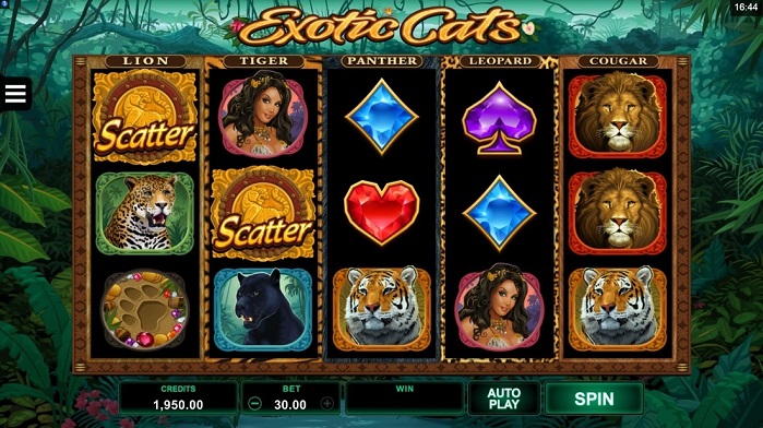 Игровой автомат Exotic Cats Игровой автомат Exotic Cats